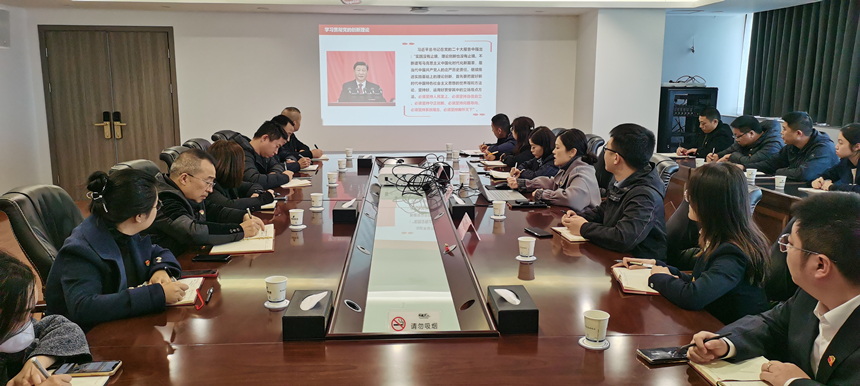 集團(tuán)黨委委員、副總經(jīng)理賀維維同志講授專題黨課